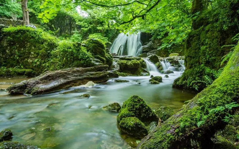 高效高性能高端